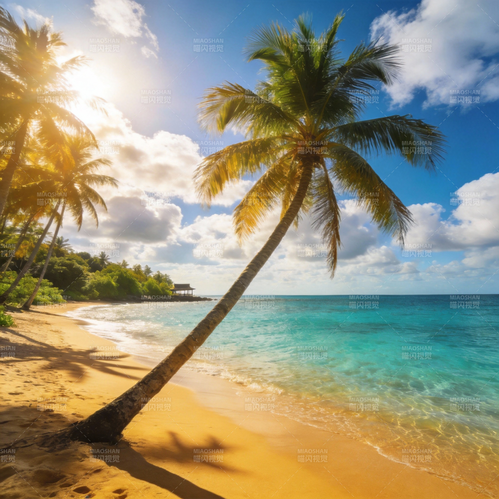 热带海滩风光图片
