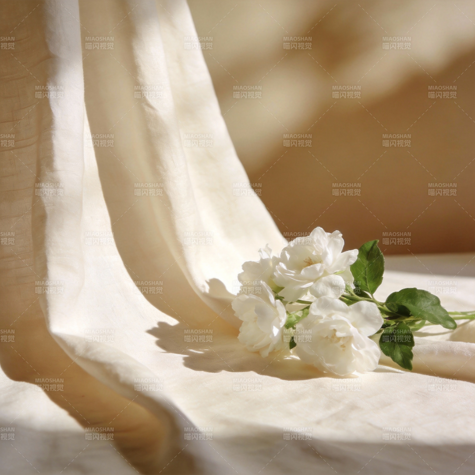 白花轻纱静谧美图片