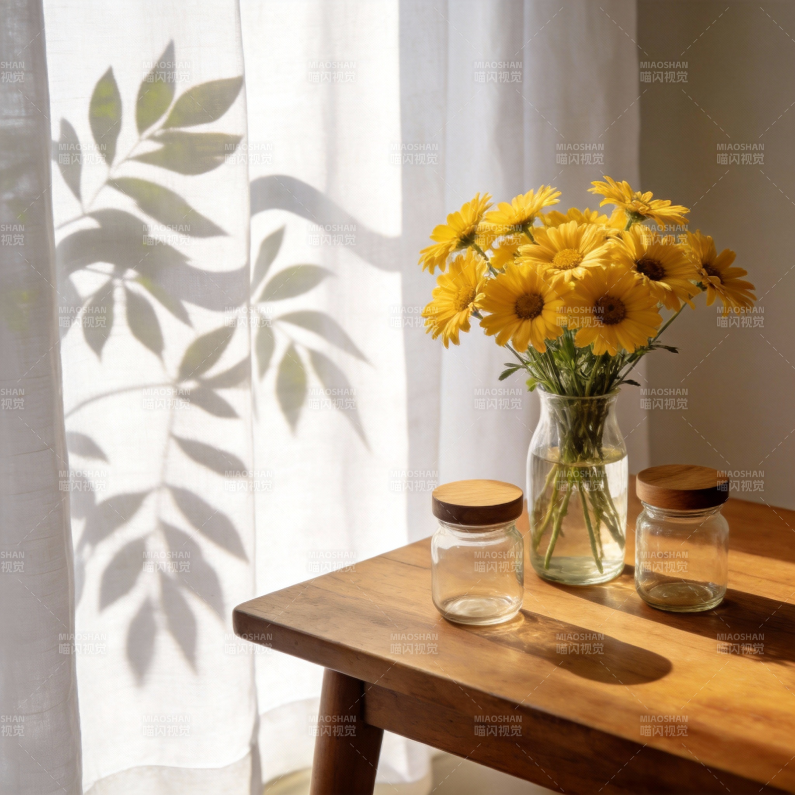 阳光下的花与影图片