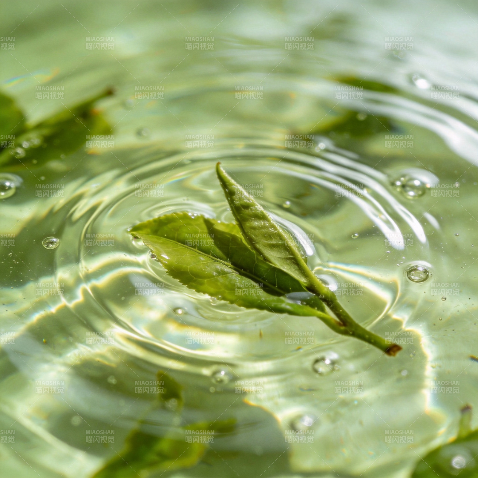 茶韵涟漪图片
