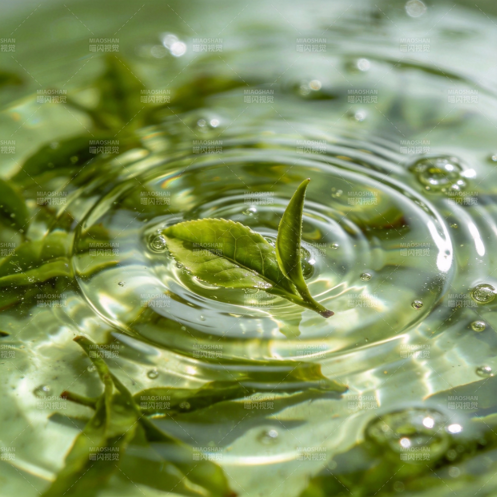 茶香涟漪图片