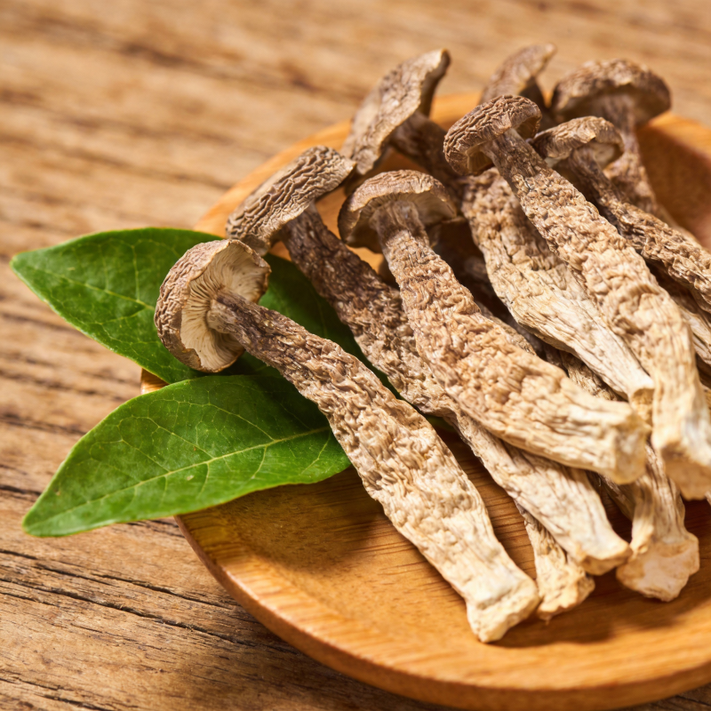 干香菇配绿叶图片