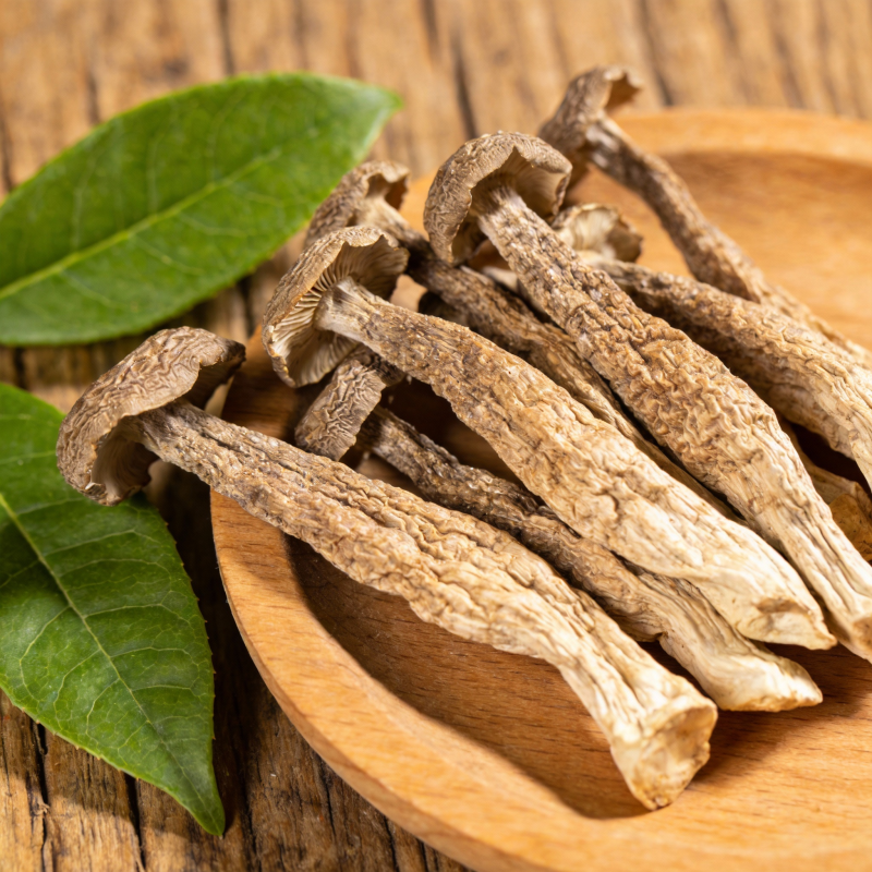 干香菇配绿叶图片