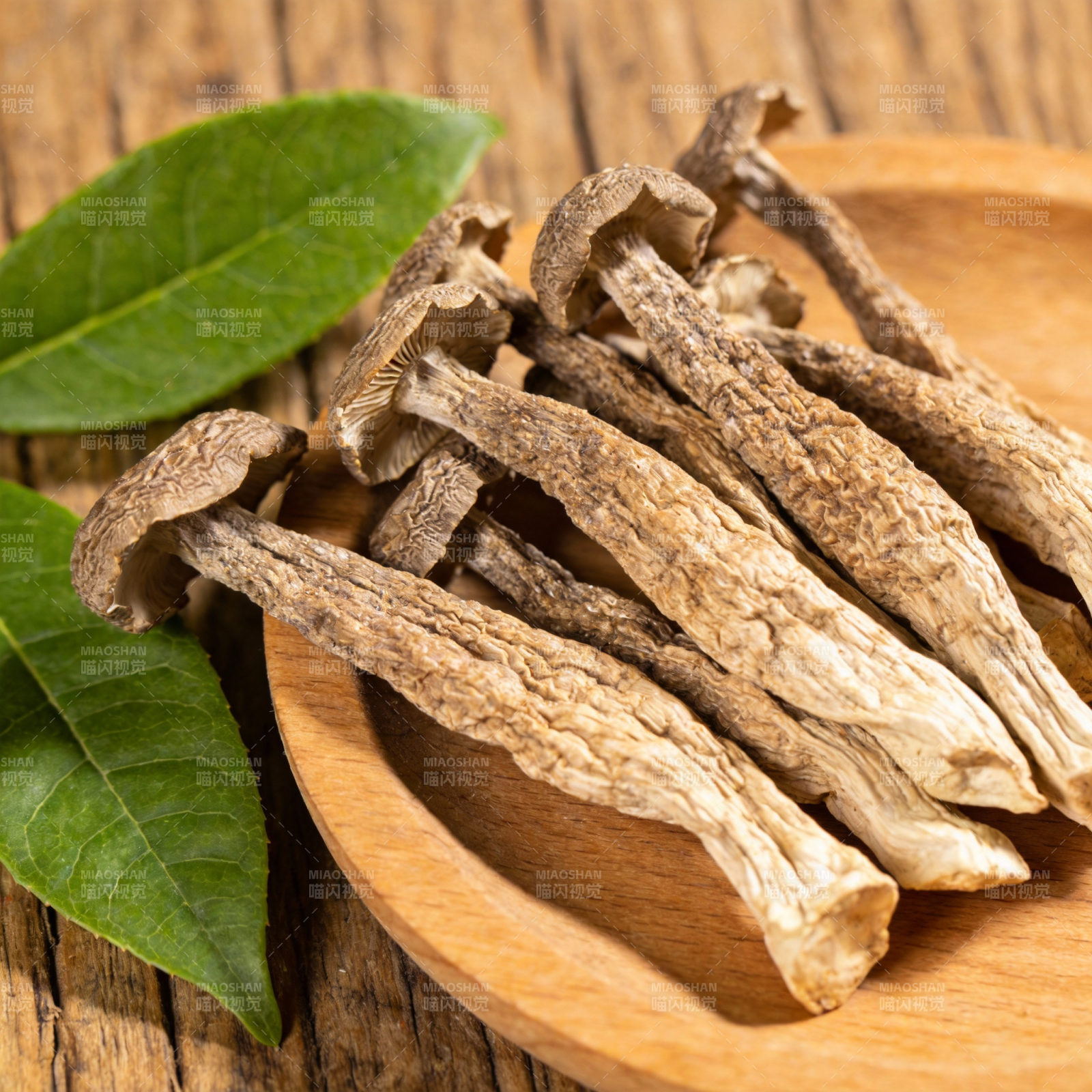 干香菇配绿叶图片