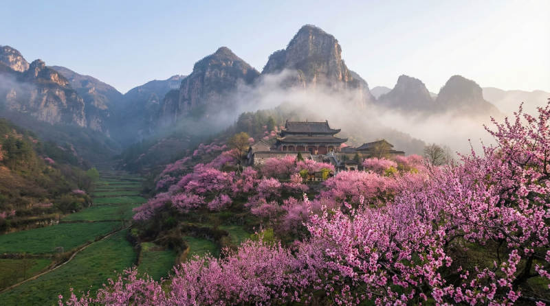 春山花海古寺图片