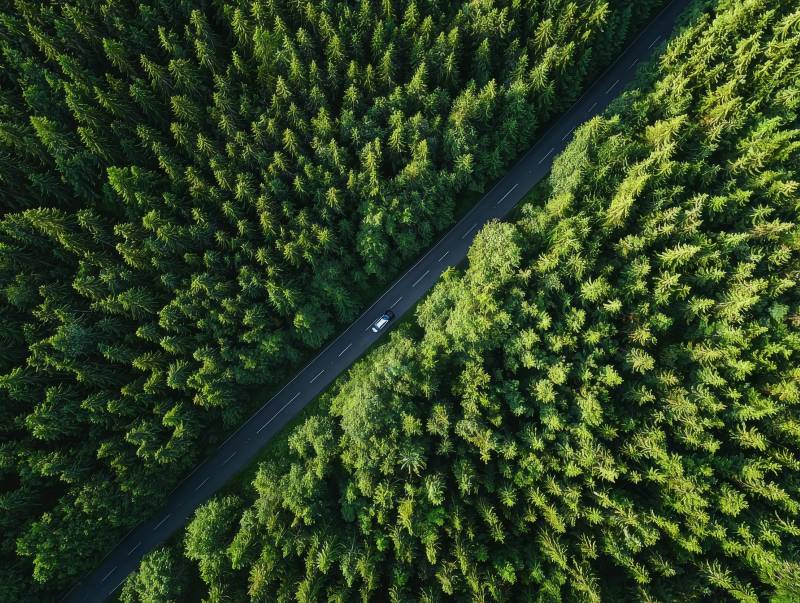 林间公路俯瞰图图片