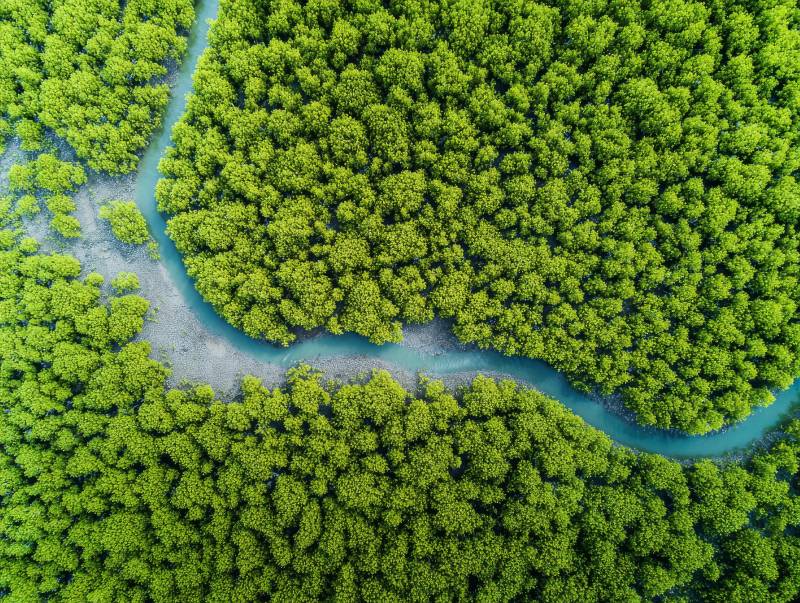绿林水道航拍图图片