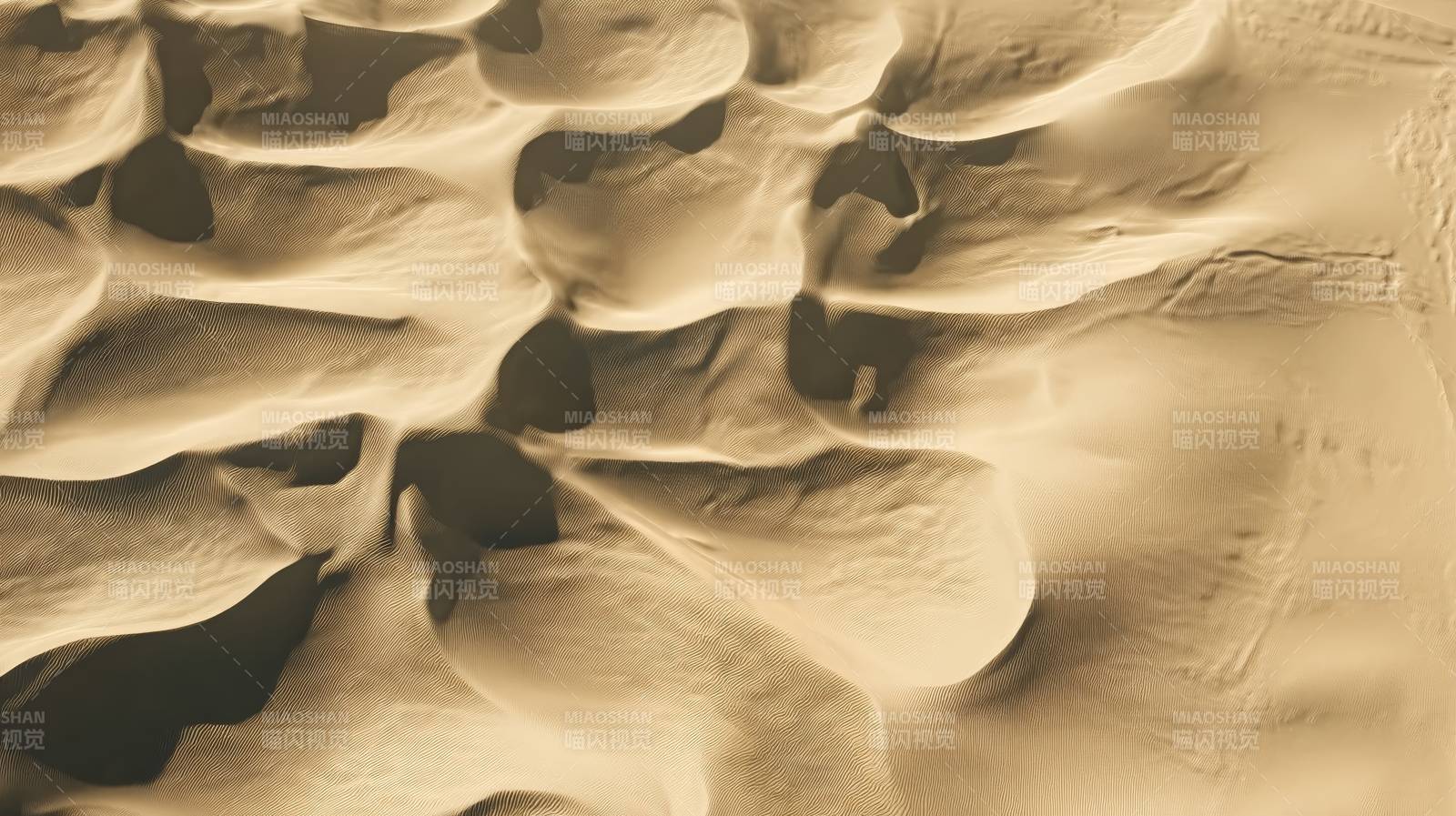 沙丘纹理图片