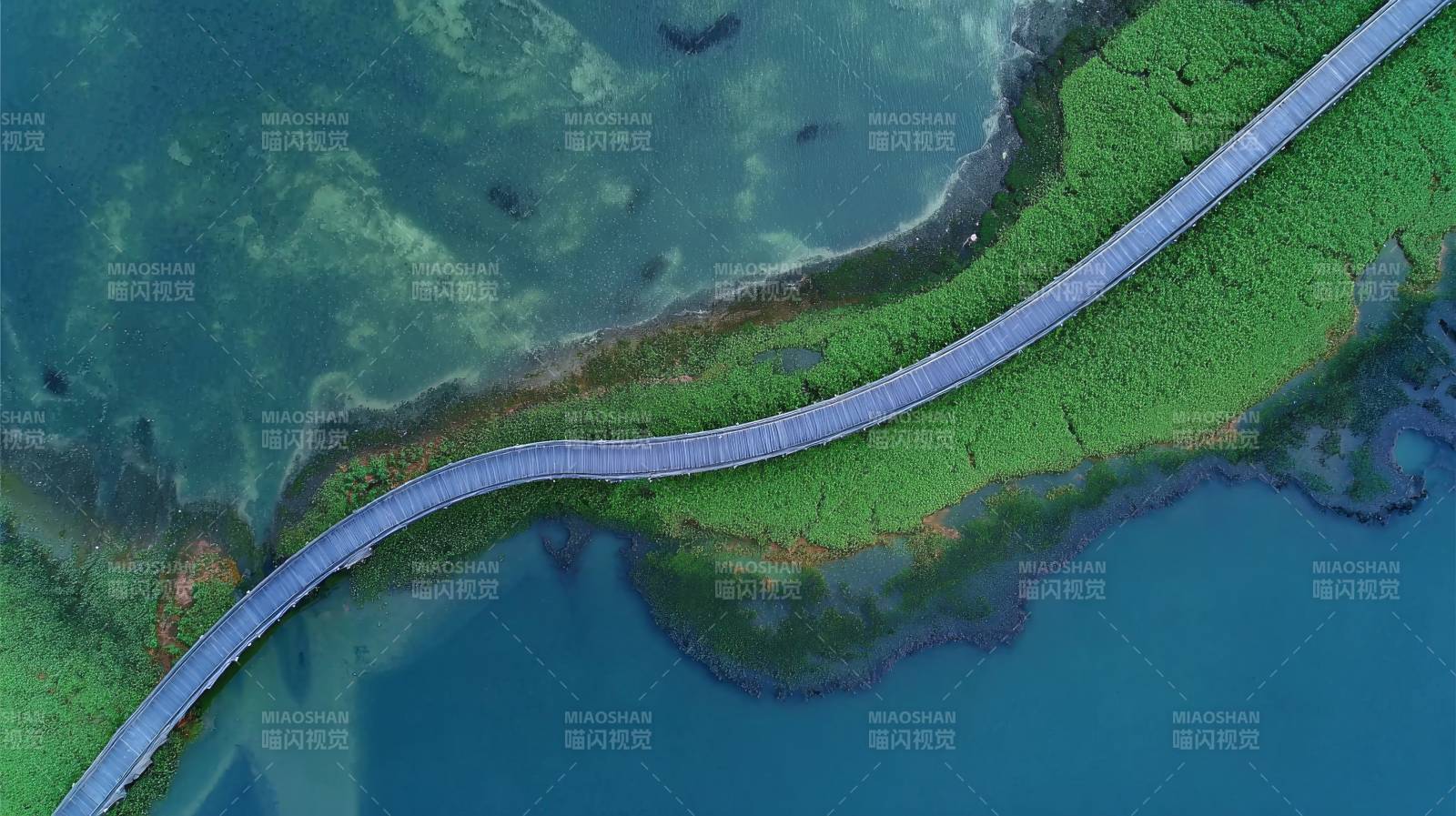 碧水绿洲上的长桥图片