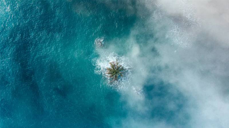 孤岛椰影碧海间图片