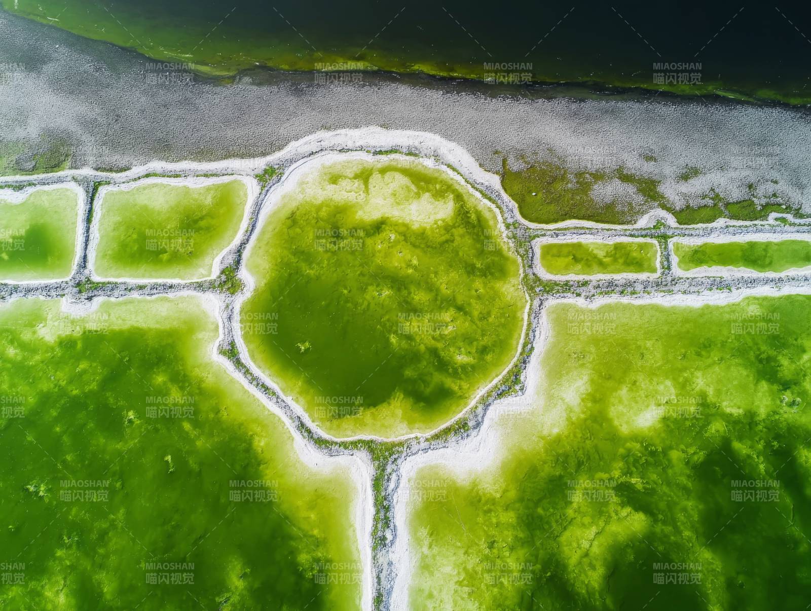 绿藻滩涂航拍图图片