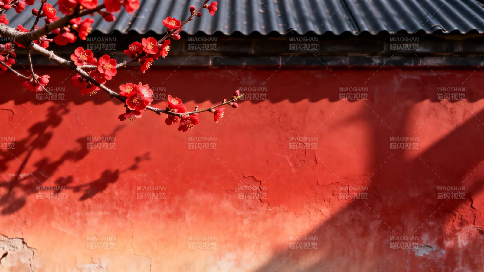 红墙映梅影图片