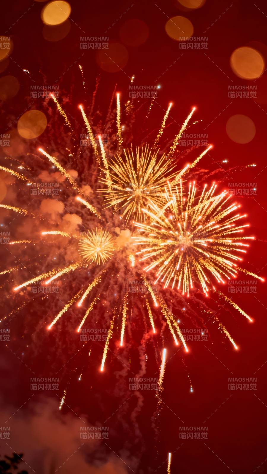 璀璨烟花绽放夜空图片