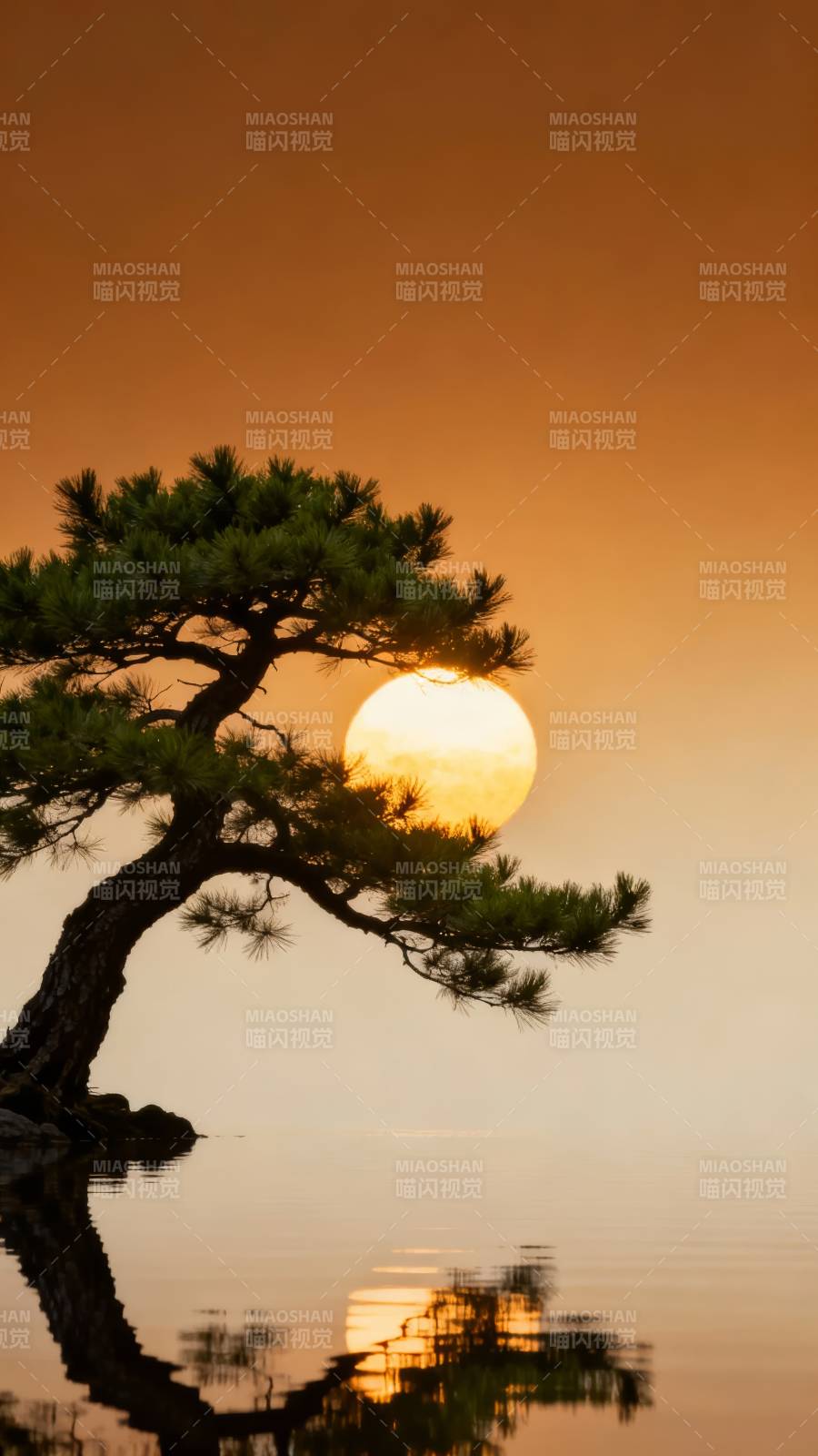 松影映日 静水如镜图片