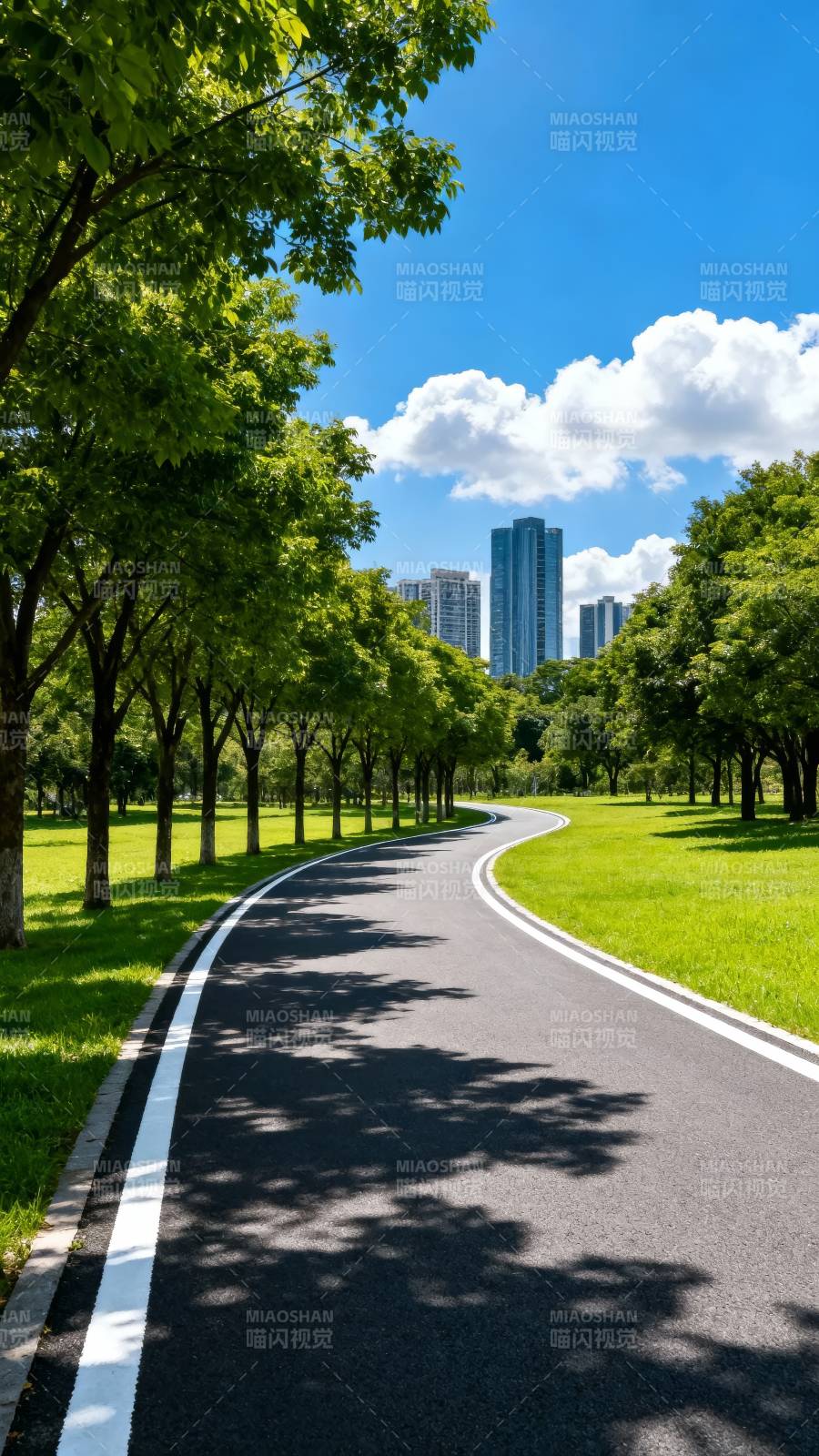 绿道通向城市天际图片