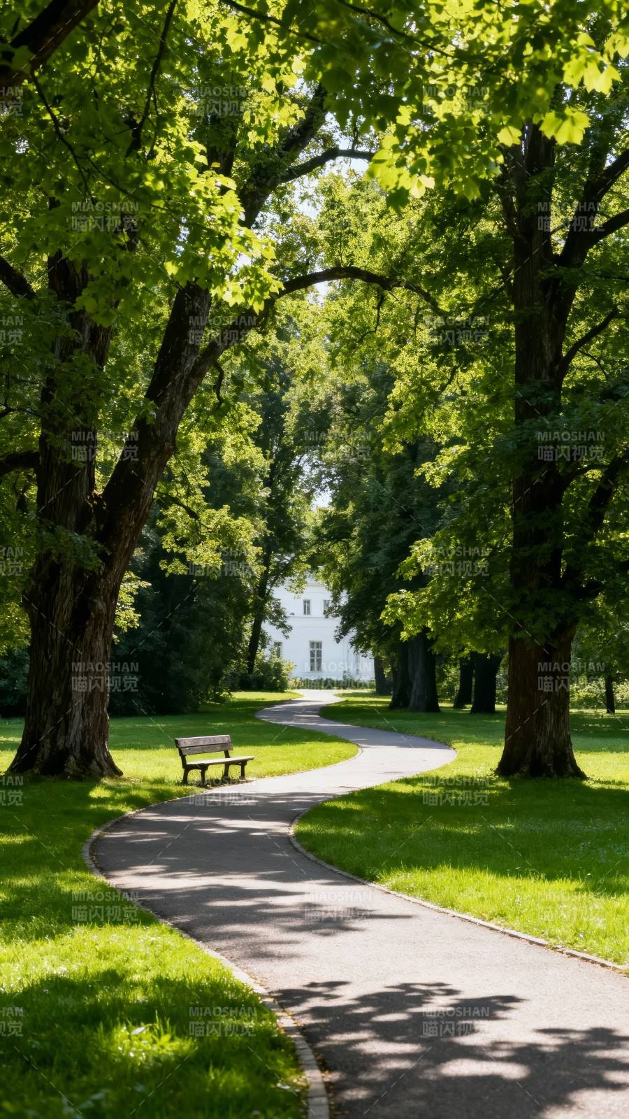 林荫小径静谧景图片