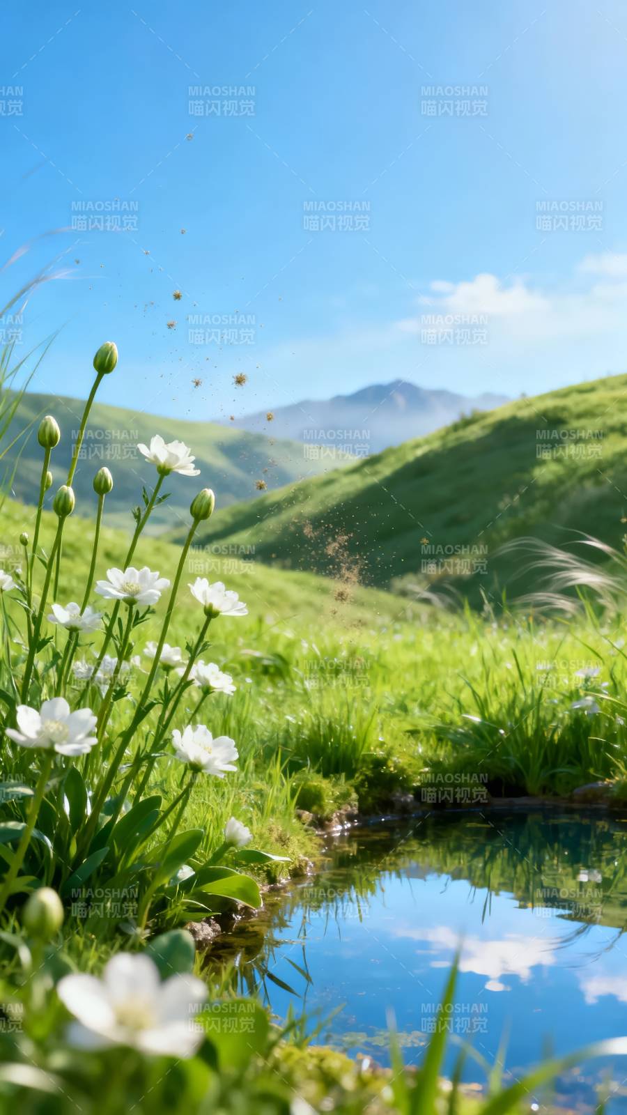 山野春花映碧水图片