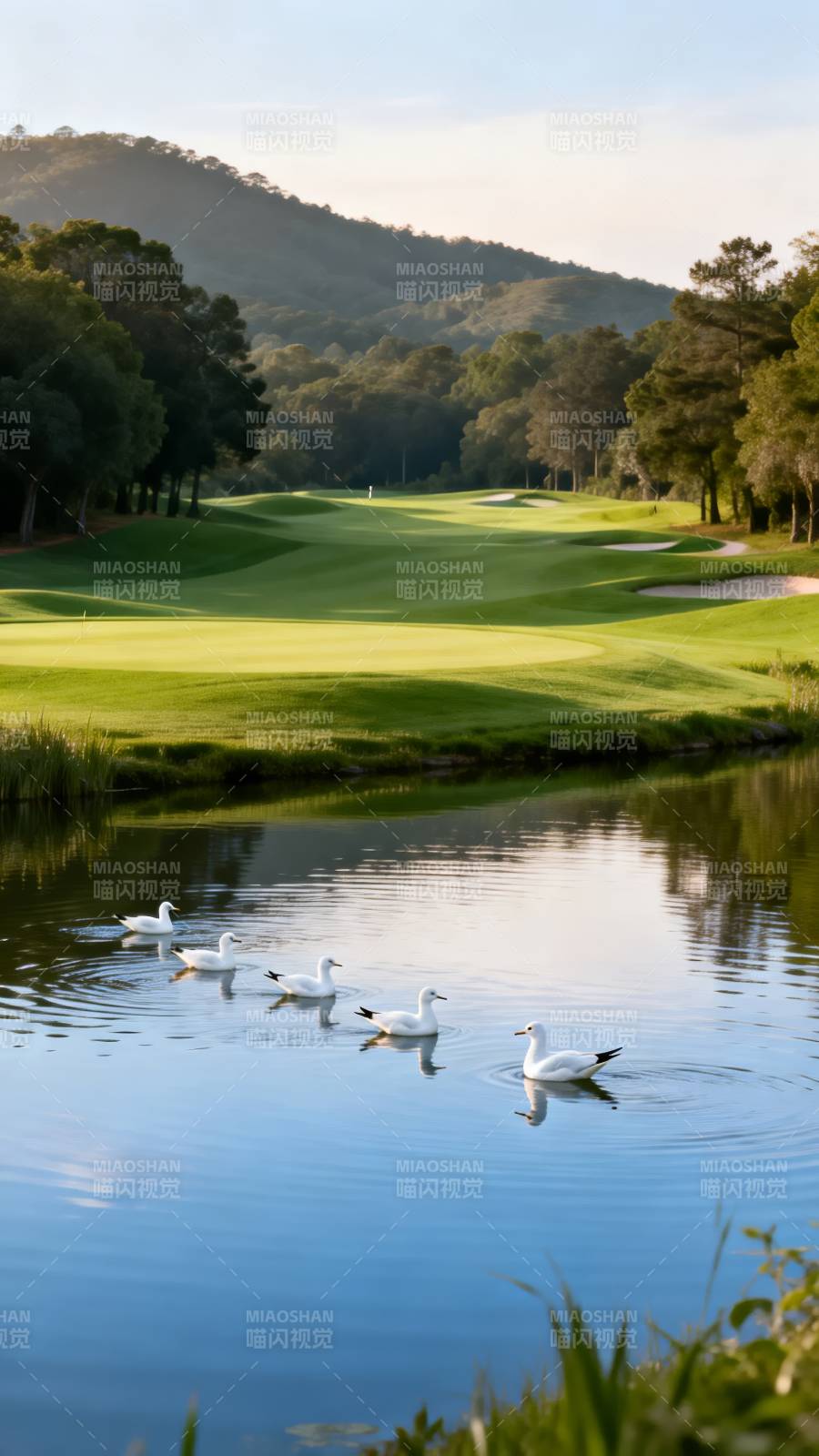 湖畔高尔夫美景图片