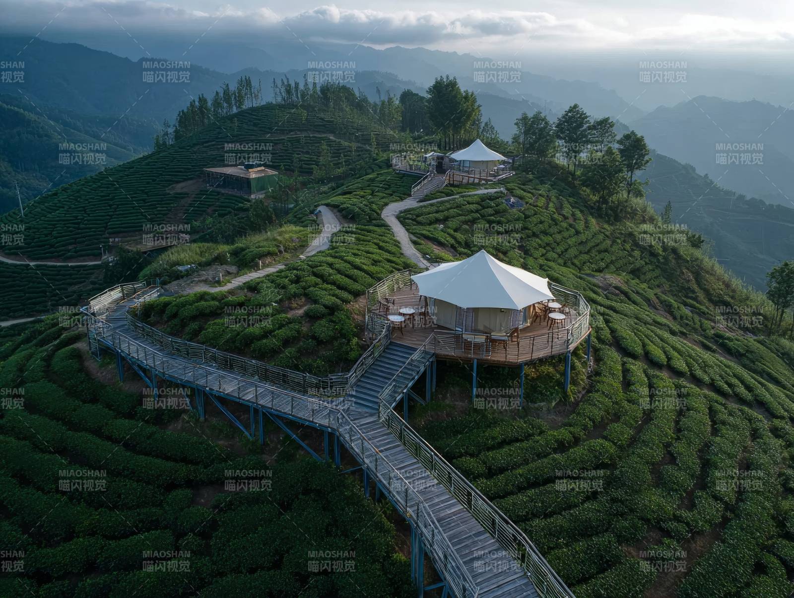 茶园山居 云雾缭绕图片