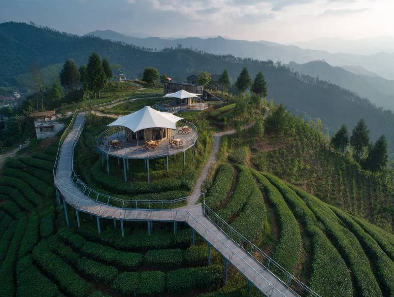 茶园山景观景台图片