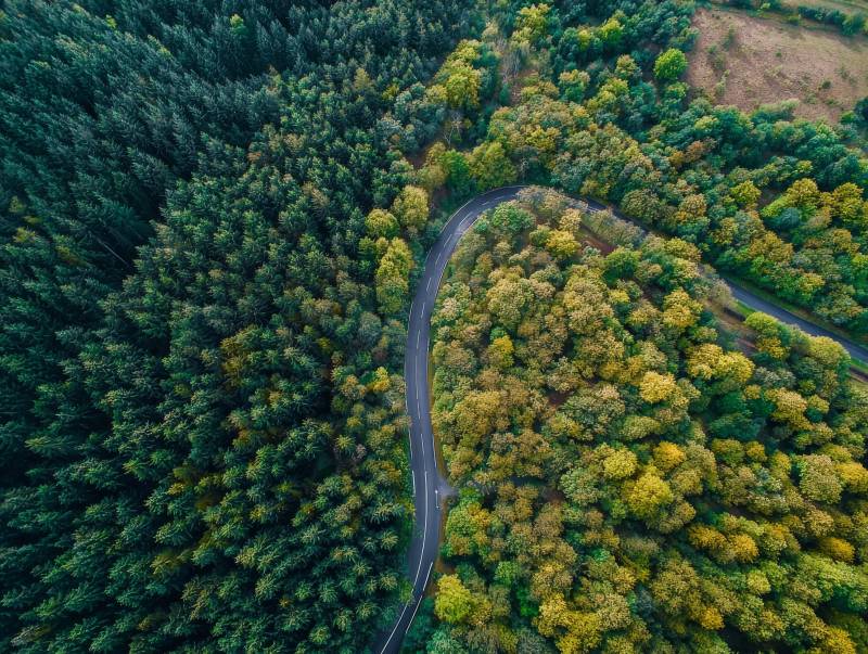 林间蜿蜒小路图片