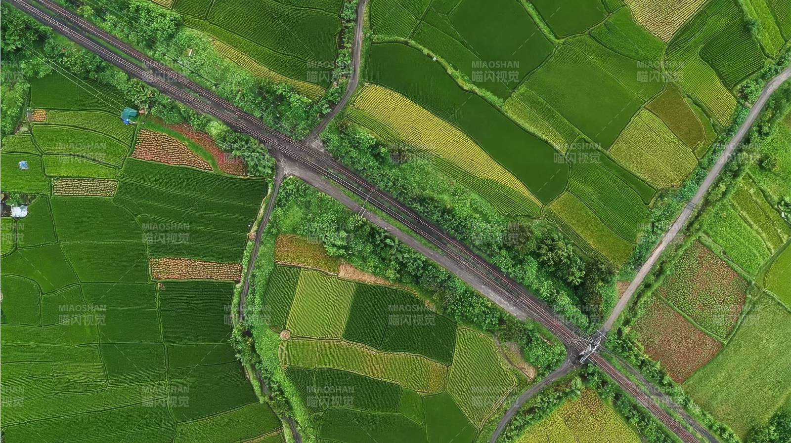 田园阡陌纵横图片