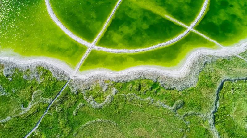 绿野上的足球场图片