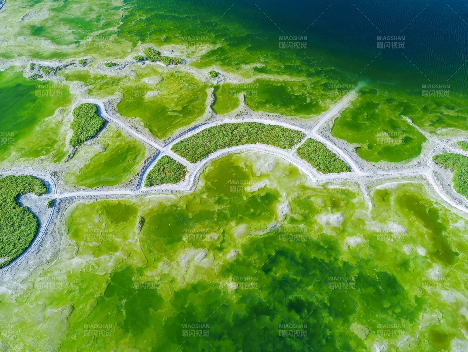 绿洲水网航拍图图片