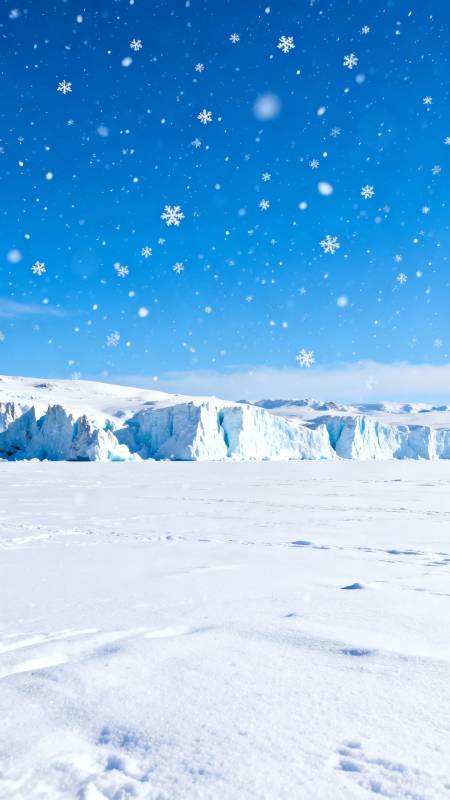 冰雪世界 纯净无垠图片