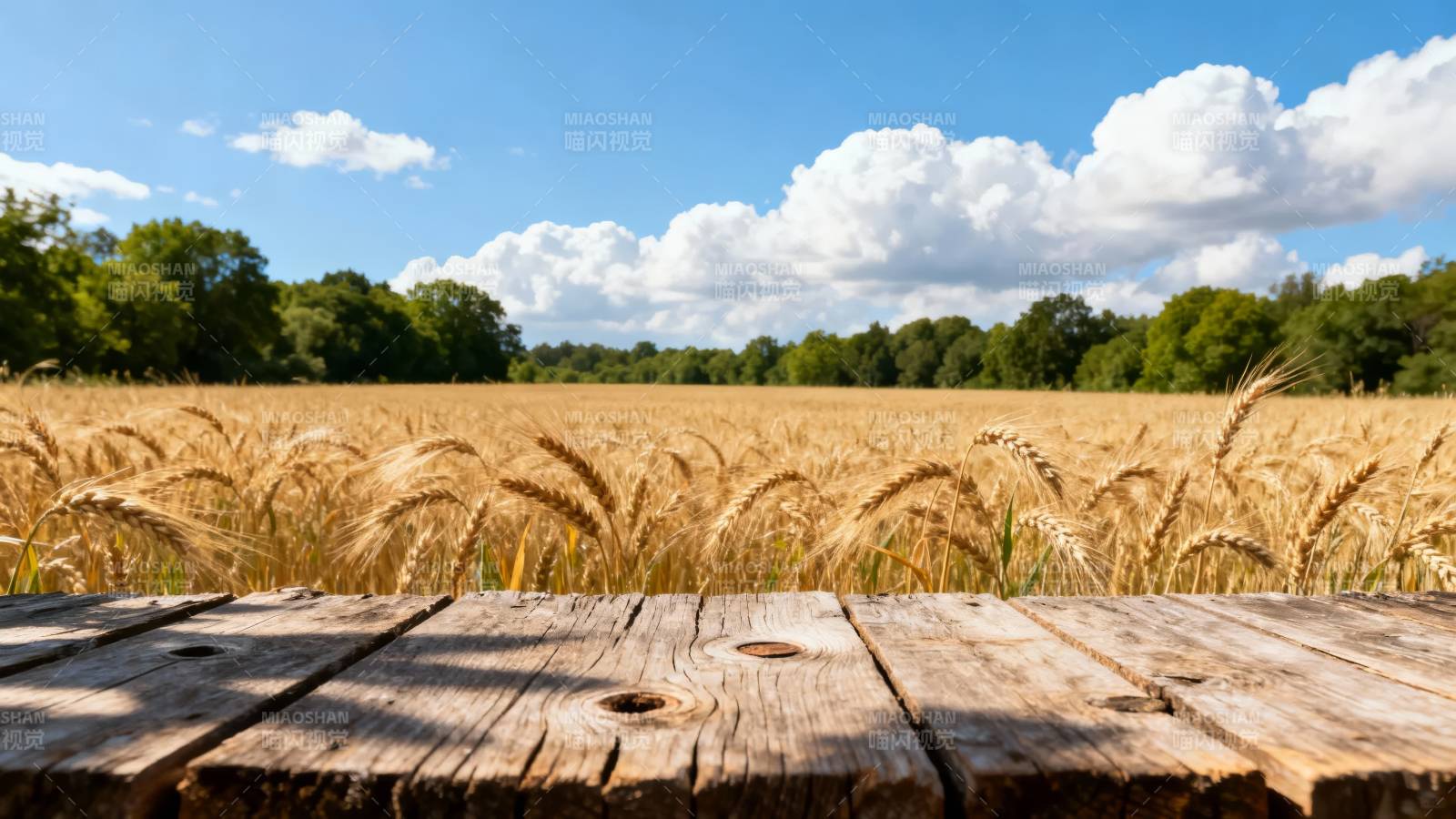 金麦田与木桌图片