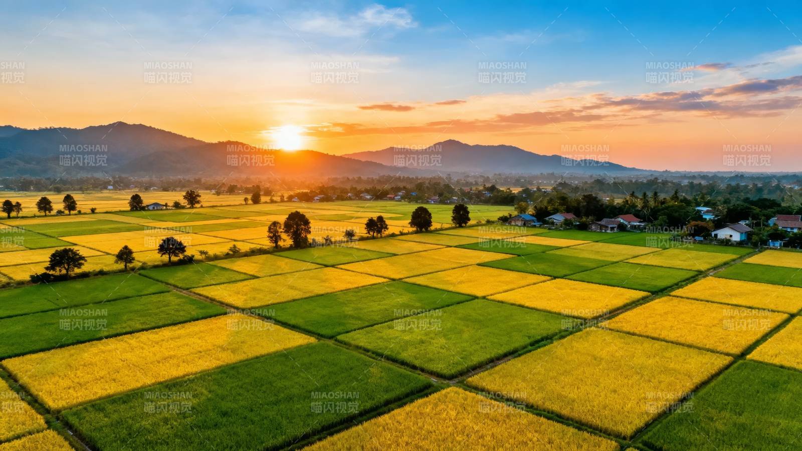 稻田日落美景图片