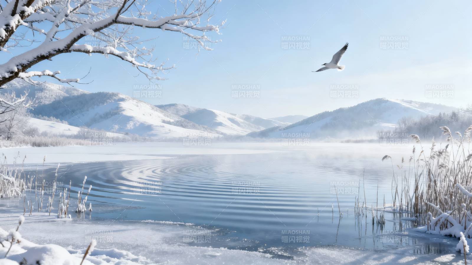 雪湖飞鸟图片