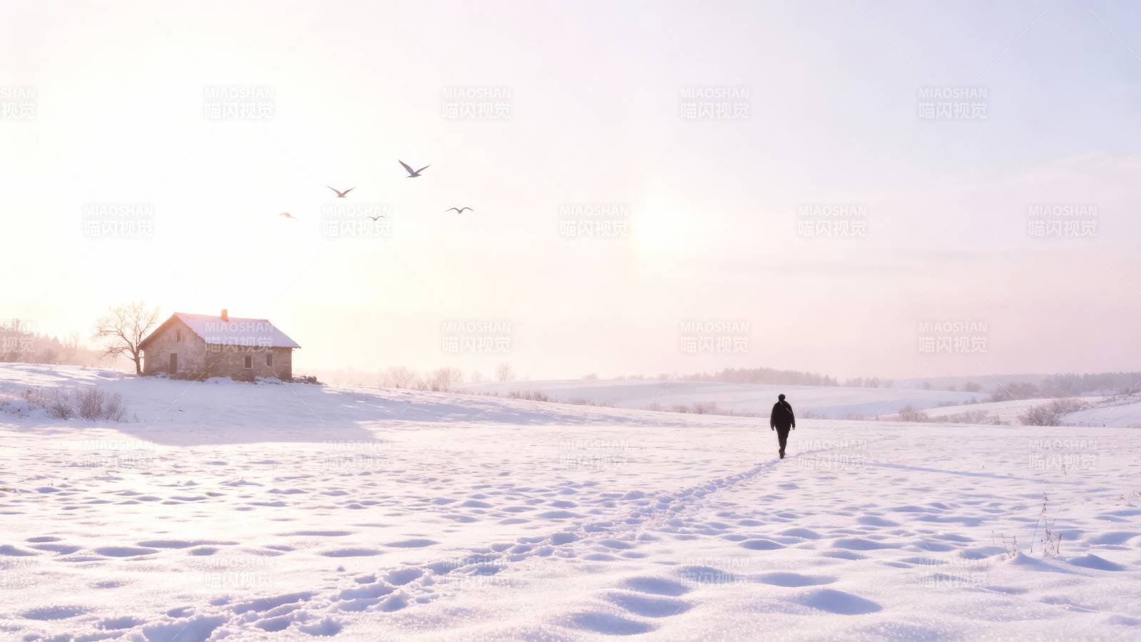 雪原独行图片