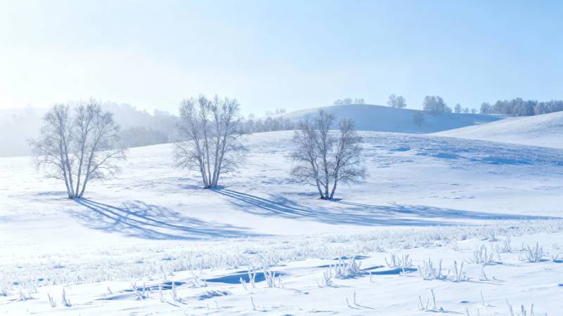 雪原静谧冬景图片