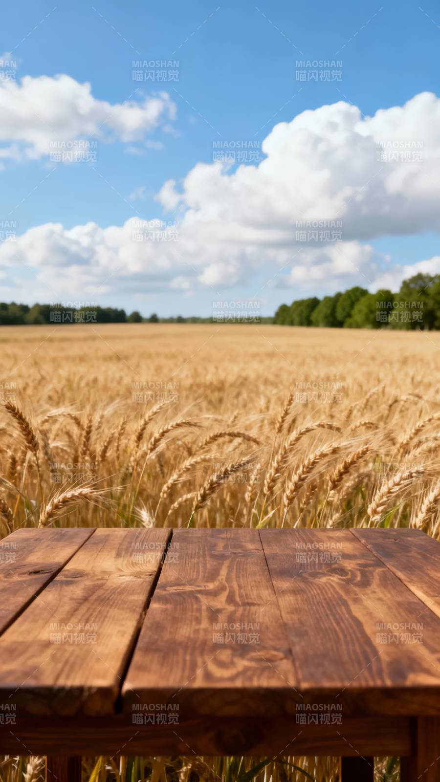 麦田木桌静景图片