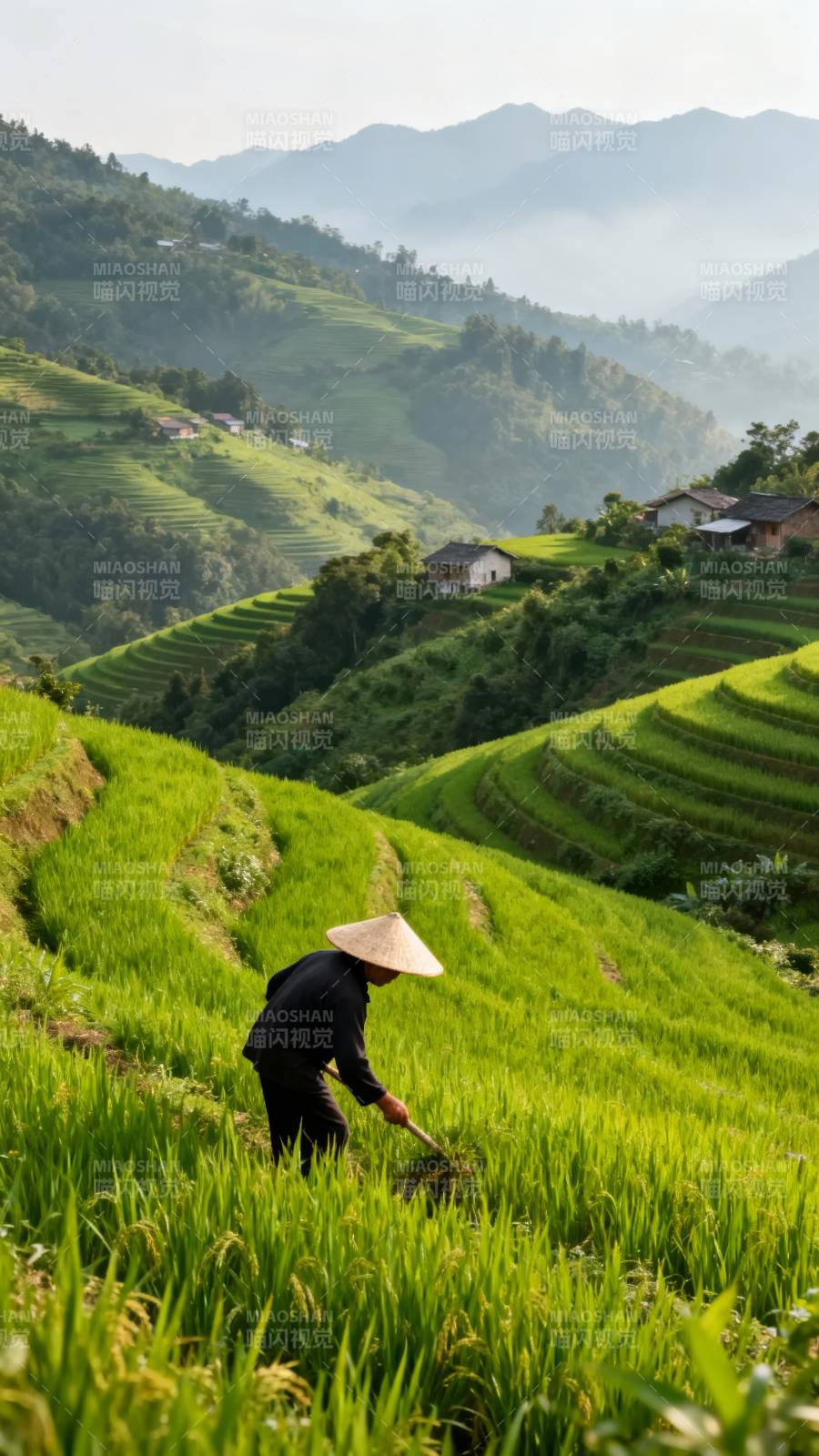 梯田劳作图图片