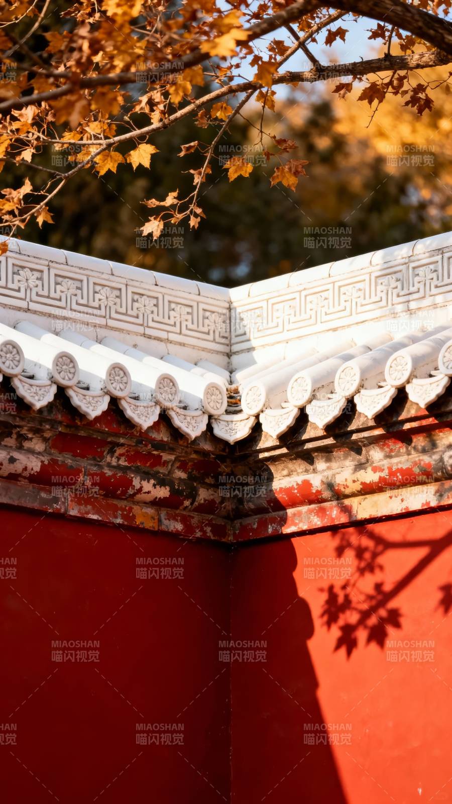 秋叶映古墙图片