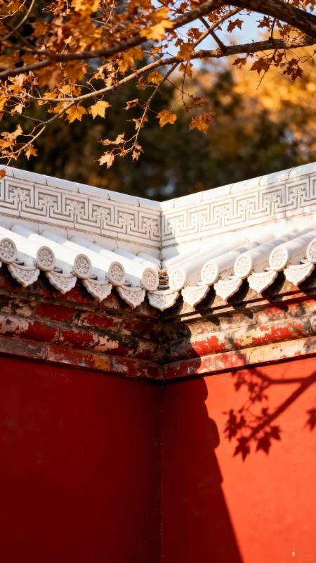 秋叶映古墙图片