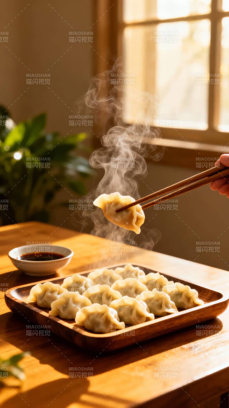 热气腾腾的饺子图片