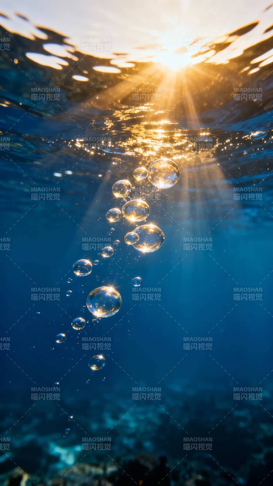 阳光穿透水泡图片