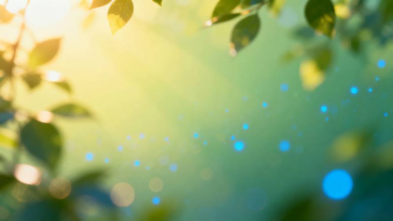 阳光透过绿叶图片