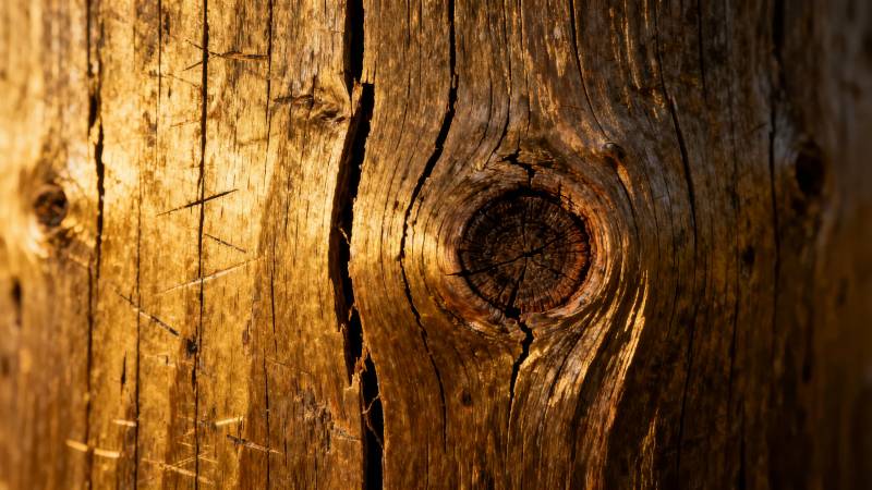 木纹岁月痕迹图片