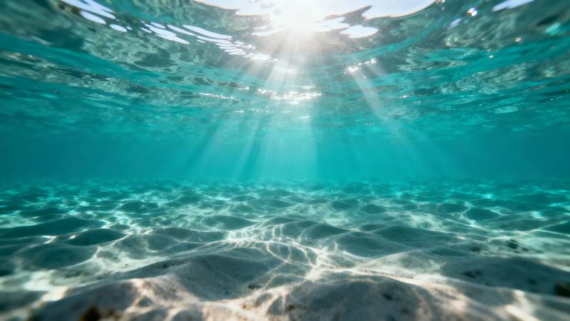海底阳光穿透水面图片
