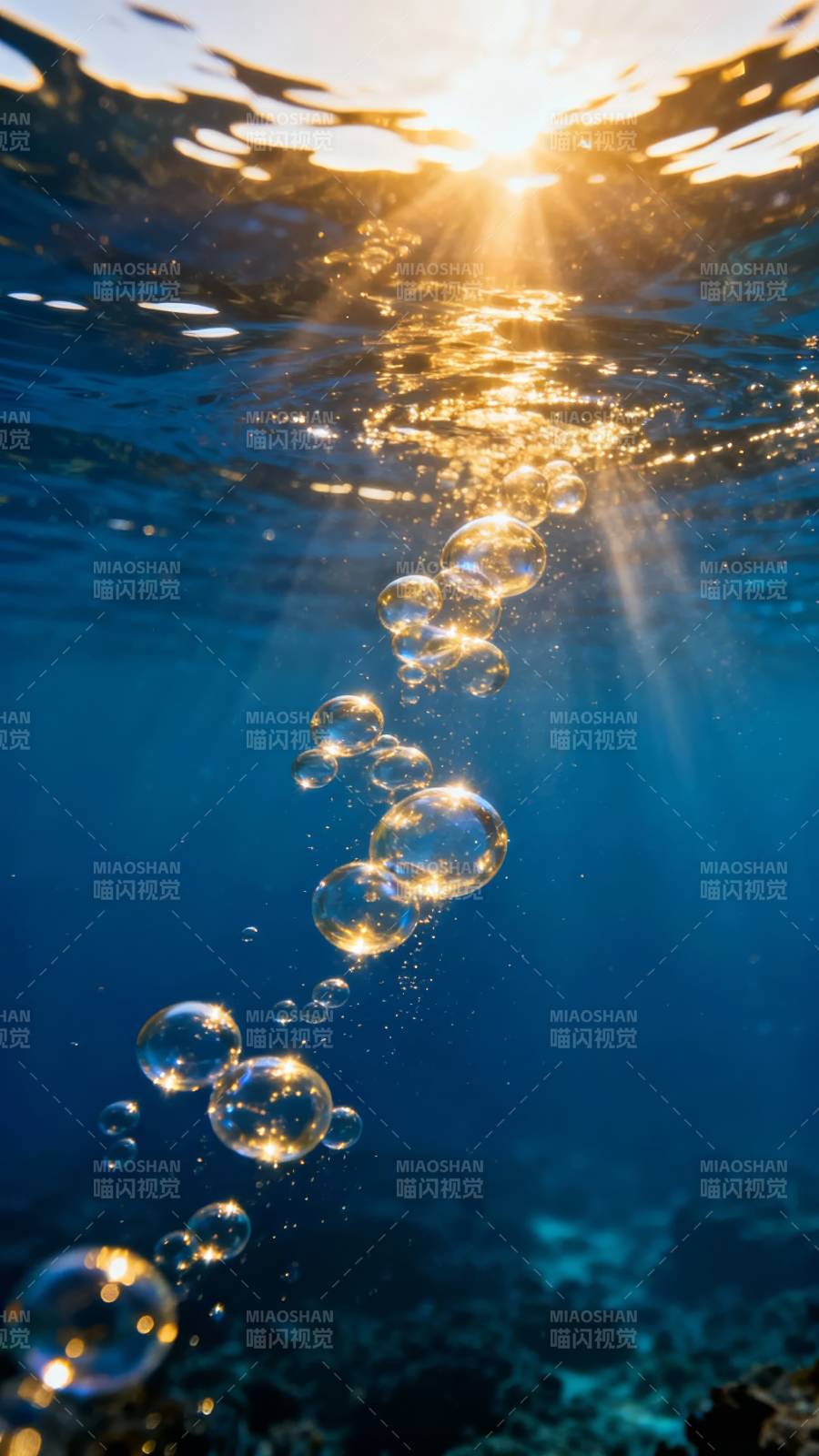 阳光下的水泡图片