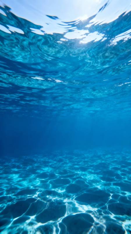 碧海蓝天水下世界图片