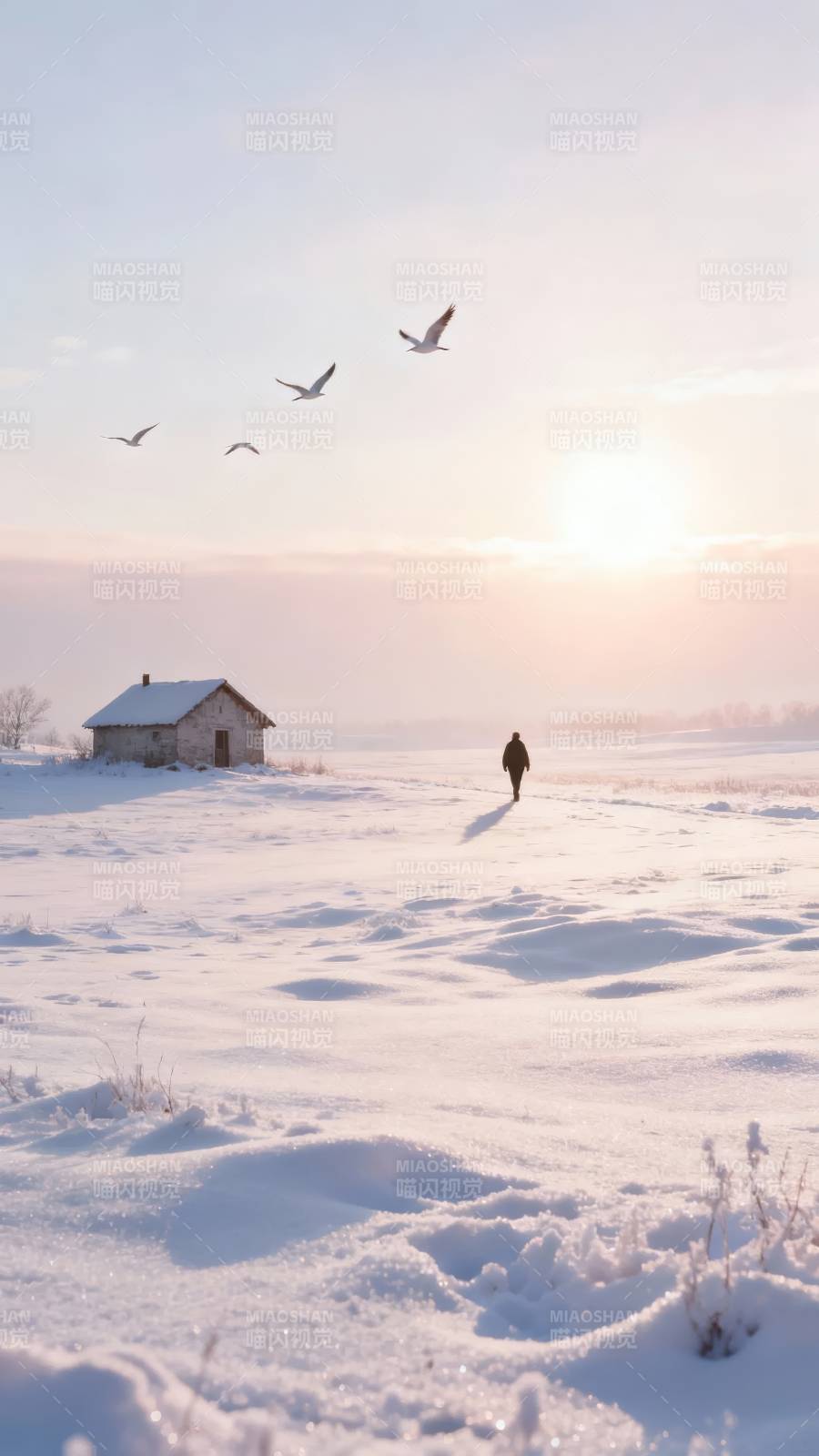 雪原孤影 飞鸟归途图片