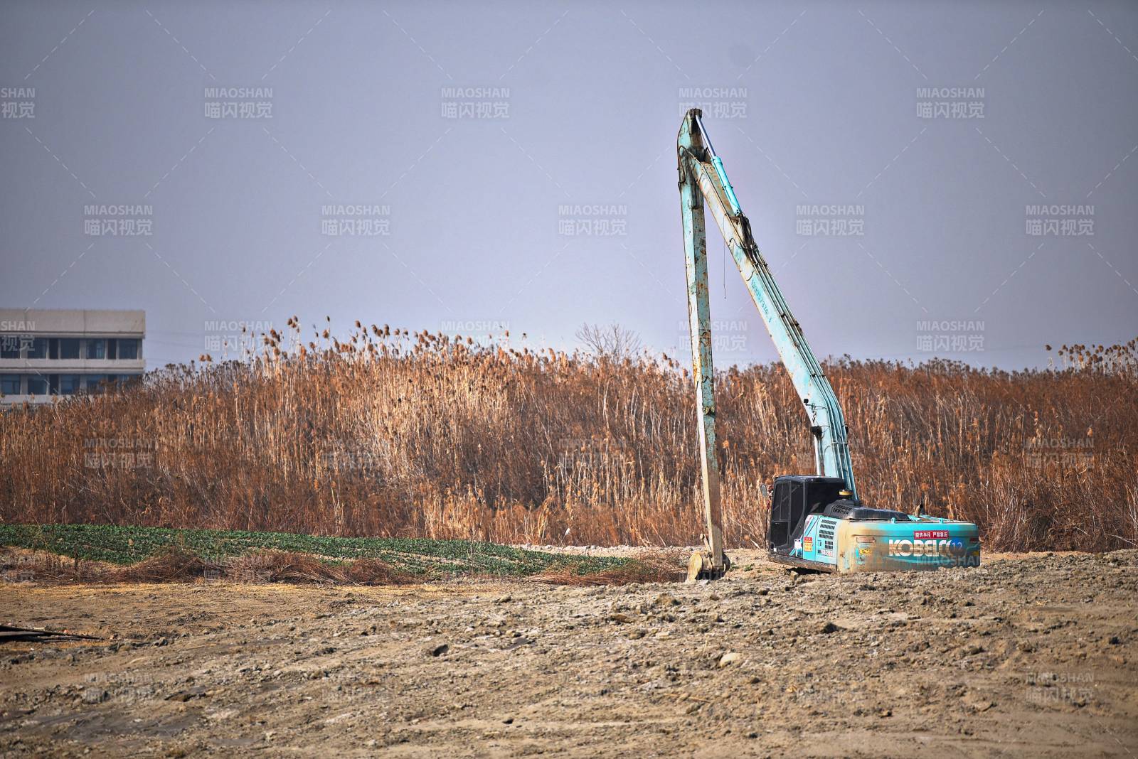 挖掘机在工地作业图片