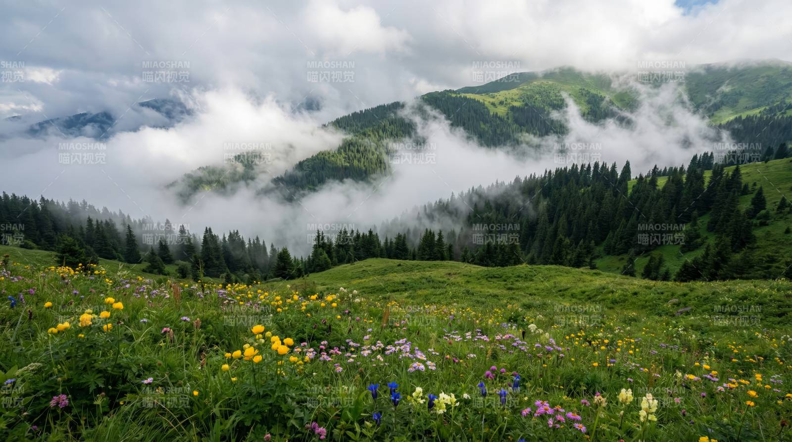 云雾缭绕山花烂漫图片