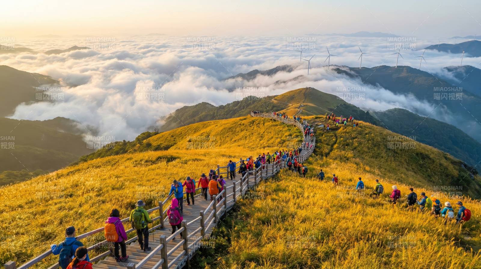 云海之上行山径图片