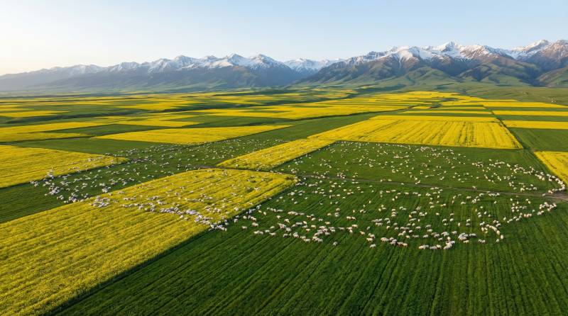 金田牧歌山影图片